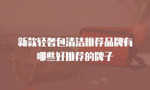 新款轻奢包清洁推荐品牌有哪些好推荐的牌子