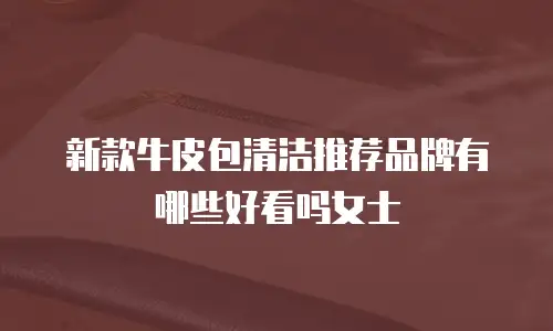 新款牛皮包清洁推荐品牌有哪些好看吗女士