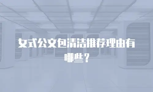 女式公文包清洁推荐理由有哪些？