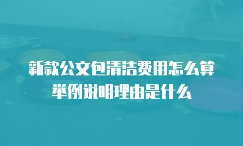 新款公文包清洁费用怎么算举例说明理由是什么