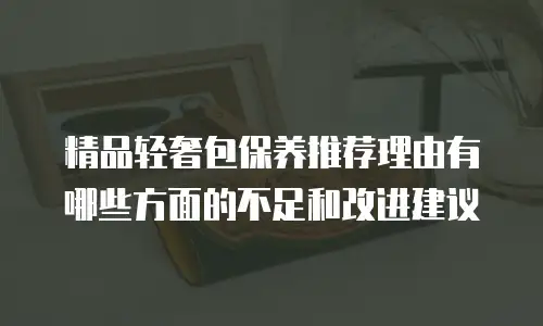 精品轻奢包保养推荐理由有哪些方面的不足和改进建议