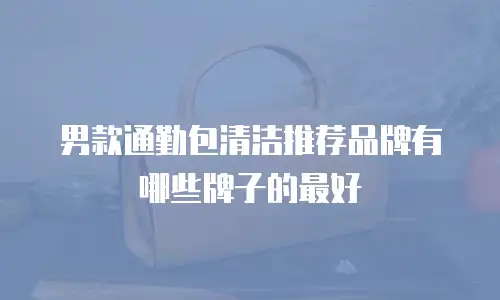 男款通勤包清洁推荐品牌有哪些牌子的最好