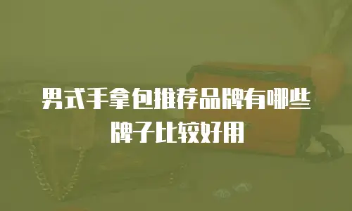 男式手拿包推荐品牌有哪些牌子比较好用