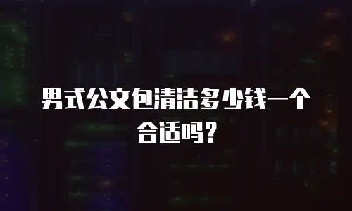 男式公文包清洁多少钱一个合适吗？