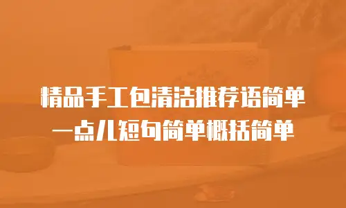 精品手工包清洁推荐语简单一点儿短句简单概括简单