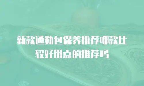 新款通勤包保养推荐哪款比较好用点的推荐吗