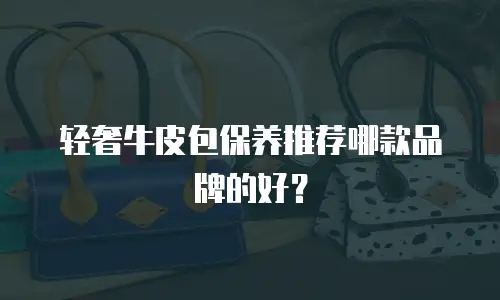 轻奢牛皮包保养推荐哪款品牌的好？