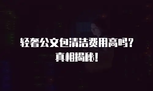 轻奢公文包清洁费用高吗？真相揭秘！