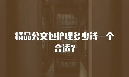 精品公文包护理多少钱一个合适？