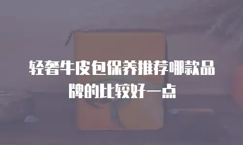 轻奢牛皮包保养推荐哪款品牌的比较好一点