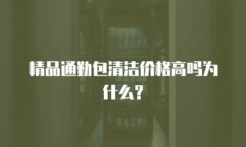 精品通勤包清洁价格高吗为什么？
