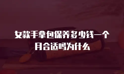 女款手拿包保养多少钱一个月合适吗为什么