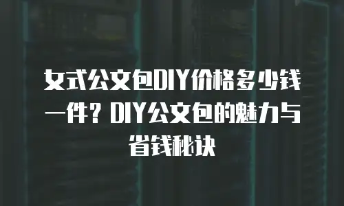 女式公文包DIY价格多少钱一件？DIY公文包的魅力与省钱秘诀