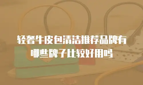 轻奢牛皮包清洁推荐品牌有哪些牌子比较好用吗