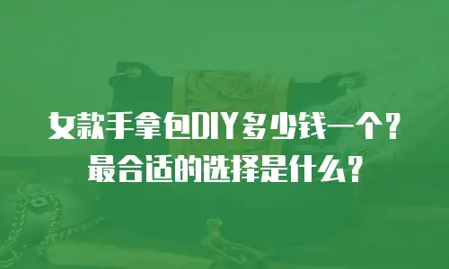 女款手拿包DIY多少钱一个？最合适的选择是什么？