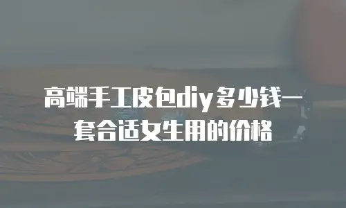 高端手工皮包diy多少钱一套合适女生用的价格