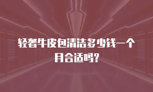 轻奢牛皮包清洁多少钱一个月合适吗？