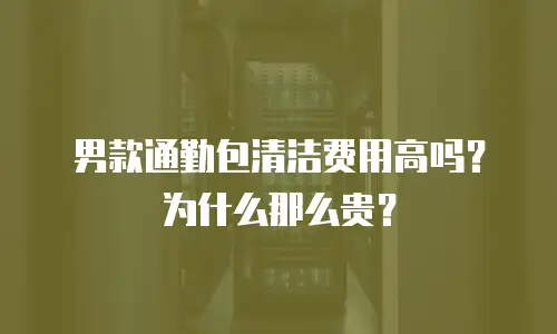 男款通勤包清洁费用高吗？为什么那么贵？