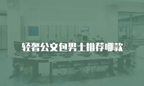 轻奢公文包男士推荐哪款
