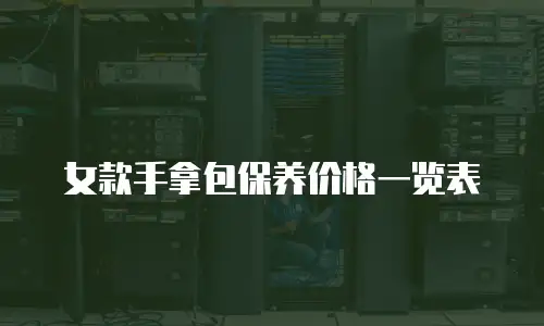 女款手拿包保养价格一览表