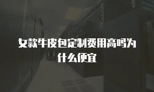 女款牛皮包定制费用高吗为什么便宜