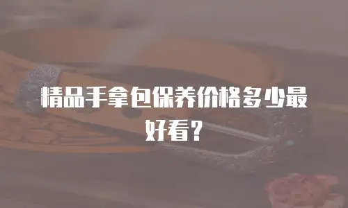 精品手拿包保养价格多少最好看？