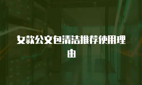 女款公文包清洁推荐使用理由