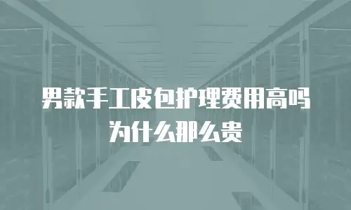 男款手工皮包护理费用高吗为什么那么贵