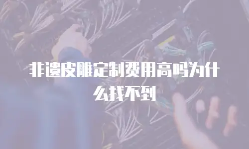 非遗皮雕定制费用高吗为什么找不到