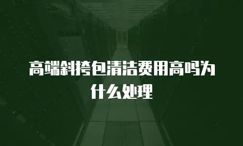 高端斜挎包清洁费用高吗为什么处理