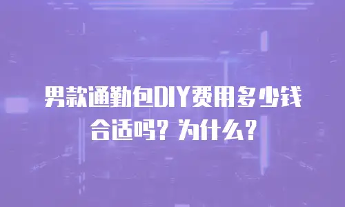 男款通勤包DIY费用多少钱合适吗？为什么？
