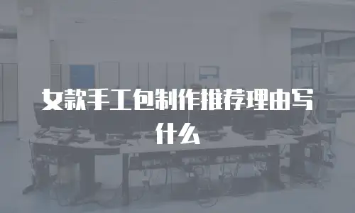 女款手工包制作推荐理由写什么