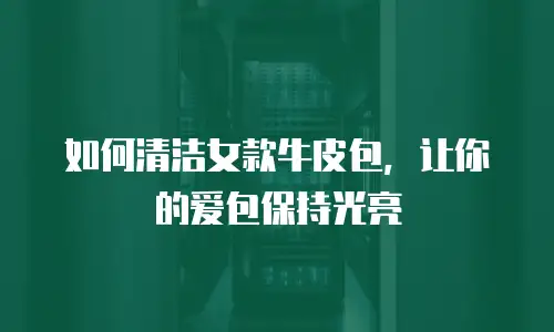 如何清洁女款牛皮包，让你的爱包保持光亮