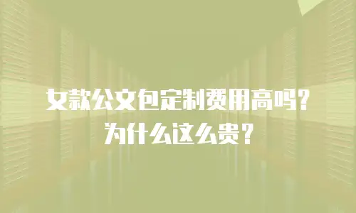 女款公文包定制费用高吗？为什么这么贵？