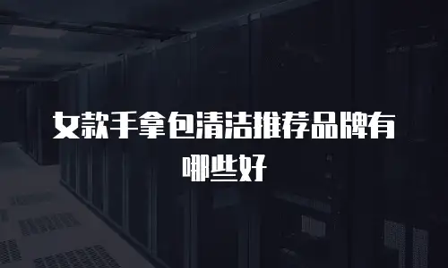 女款手拿包清洁推荐品牌有哪些好