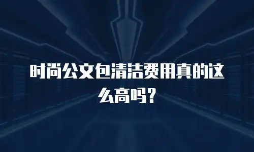 时尚公文包清洁费用真的这么高吗？