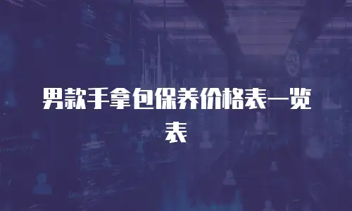 男款手拿包保养价格表一览表