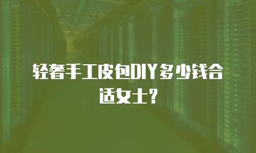 轻奢手工皮包DIY多少钱合适女士？