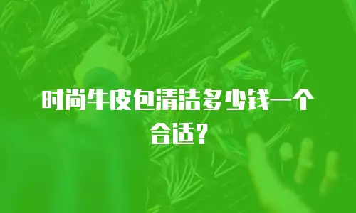 时尚牛皮包清洁多少钱一个合适？