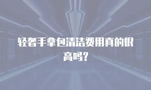 轻奢手拿包清洁费用真的很高吗？