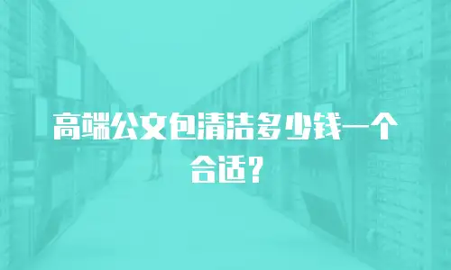 高端公文包清洁多少钱一个合适？
