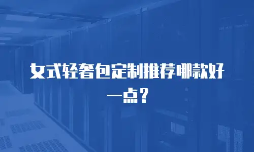 女式轻奢包定制推荐哪款好一点？