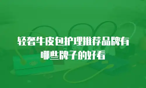 轻奢牛皮包护理推荐品牌有哪些牌子的好看