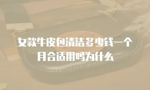 女款牛皮包清洁多少钱一个月合适用吗为什么