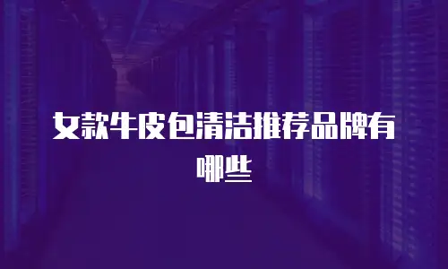 女款牛皮包清洁推荐品牌有哪些