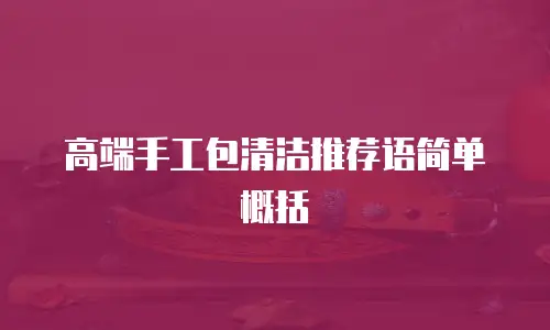 高端手工包清洁推荐语简单概括