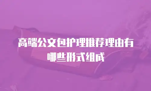 高端公文包护理推荐理由有哪些形式组成