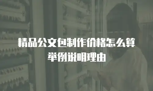 精品公文包制作价格怎么算举例说明理由