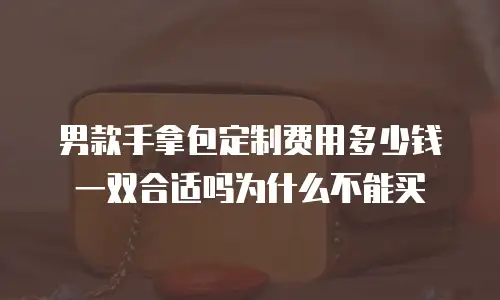 男款手拿包定制费用多少钱一双合适吗为什么不能买