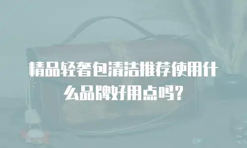 精品轻奢包清洁推荐使用什么品牌好用点吗？